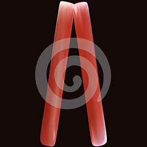 3d illustration of human body muscle part