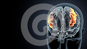 3d illustration of human brain post central anatomy.