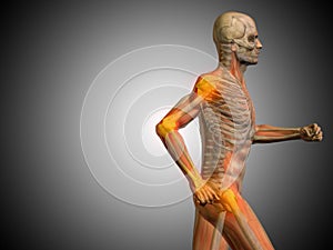 3D illustration human man anatomy or health design, joint or articular pain, ache or injury