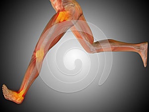 3D illustration human man anatomy or health design, joint or articular pain, ache or injury on gray background