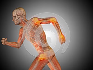 3D illustration human man anatomy or health design, joint or articular pain, ache or injury on gray background