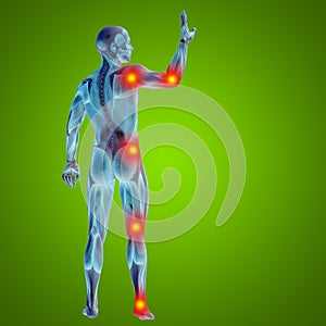 3D illustration of human or man with muscles for anatomy or health designs with articular or bones pain