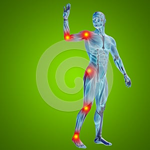 3D illustration of human or man with muscles for anatomy or health designs with articular or bones pain