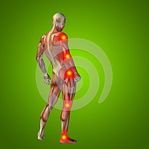 3D illustration of human or man with muscles for anatomy or health designs with articular or bones pain