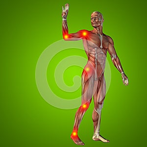 3D illustration of human or man with muscles for anatomy or health designs with articular or bones pain