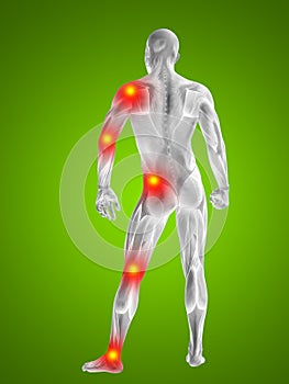 3D illustration of human or man with muscles for anatomy or health designs with articular or bones pain.