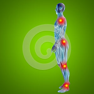 3D illustration of human or man with muscles for anatomy or health designs with articular or bones pain