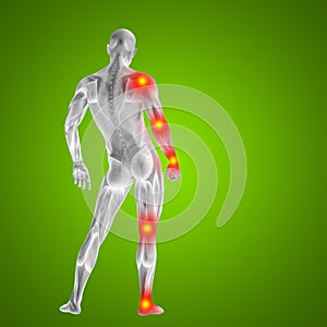 3D illustration of human or man with muscles for anatomy or health designs with articular or bones pain