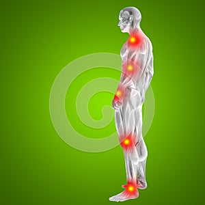 3D illustration of human or man with muscles for anatomy or health designs with articular or bones pain