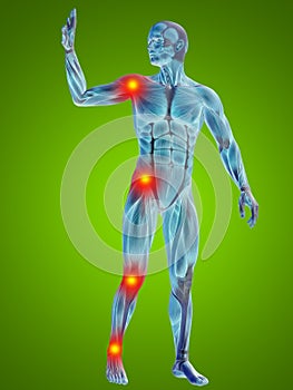 3D illustration of human or man with muscles for anatomy or health designs with articular or bones pain