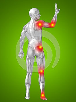 3D illustration of human or man with muscles for anatomy or health designs with articular or bones pain