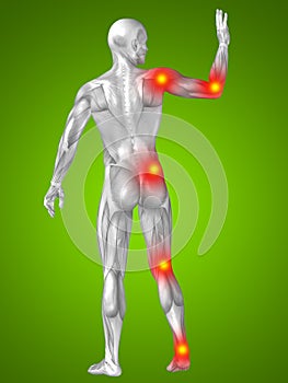 3D illustration of human or man with muscles for anatomy or health designs with articular or bones pain