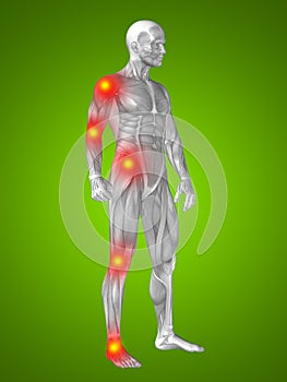 3D illustration of human or man with muscles for anatomy or health designs with articular or bones pain