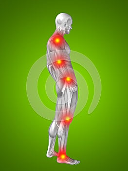 3D illustration of human or man with muscles for anatomy or health designs with articular or bones pain