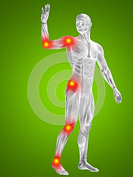 3D illustration of human or man with muscles for anatomy or health designs with articular or bones pain. A male on green