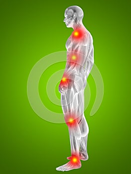 3D illustration of human or man with muscles for anatomy or health designs with articular or bones pain. A male on green