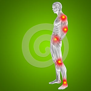 3D illustration of human or man with muscles for anatomy or health designs with articular or bones pain. A male on green