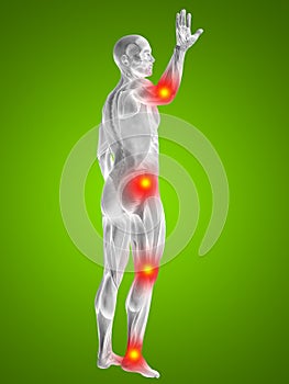 3D illustration of human or man with muscles for anatomy or health designs with articular or bones pain. A male on green