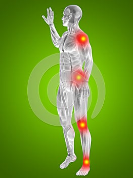 3D illustration of human or man with muscles for anatomy or health designs with articular or bones pain. A male on green