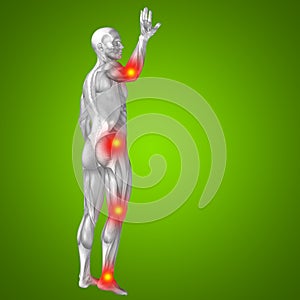 3D illustration of human or man with muscles for anatomy or health designs with articular or bones pain. A male on green