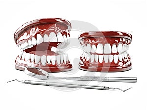 3d Illustration of human teeth, open and close mouth on white background