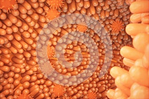 3d illustration Intestinal villi. Intestine lining. Microscopic villi and capillary. Human intestine. Viral infection