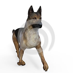3d-illustration of an isolated german shepherd dog