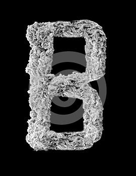 3D illustration letter B - made of Spider Web