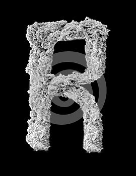 3D illustration letter R - made of Spider Web