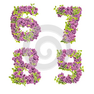 3D illustration of Lilac flowers alphabet - digits 3-5