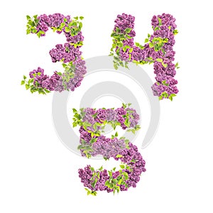 3D illustration of Lilac flowers alphabet - digits 6-9