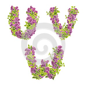 3D illustration of Lilac flowers alphabet - letters U-W