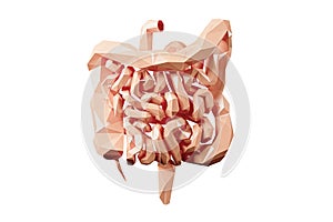 3d illustration of low poly human intestine