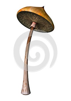 3D Illustration Magic Mushroom on White