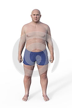 A 3D illustration of a male body with an endomorph body type