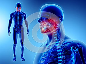 3D illustration of Mandible, medical concept.