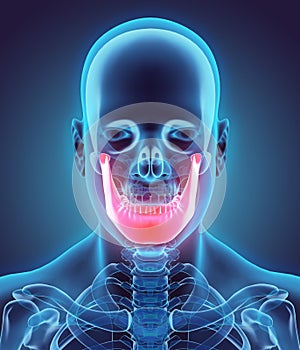 3D illustration of Mandible, medical concept.