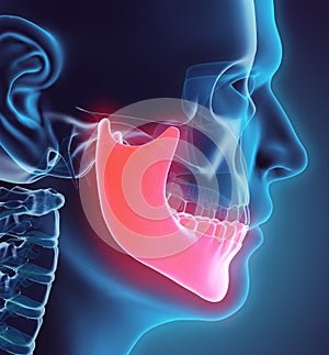 3D illustration of Mandible, medical concept.