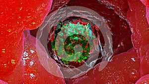 3d illustration of Mastocyte, Mast cell,