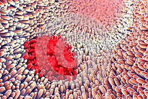 3d illustration of microscopic closeup of intestine villus