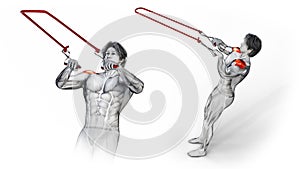 3d illustration of muscular character with dimensional shadow training Shoulders - TRX Rear Delt Fly