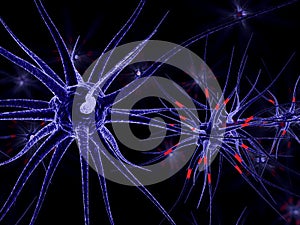 3D Illustration of neuronal cells.