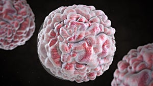 3D illustration of norovirus virus