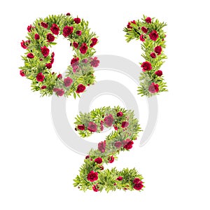 3D illustration of Peony flowers alphabet - digits 0-2