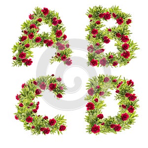 3D illustration of Peony flowers alphabet - letters A-D