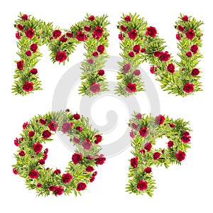 3D illustration of Peony flowers alphabet - letters M-P