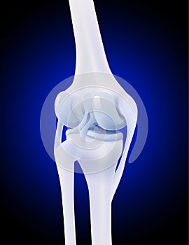 3d illustration of posterior collateral ligament of human knee bone on dark blue background