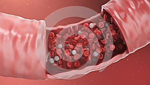 3d illustration of red blood cells inside an artery, vein. Healthy arterial cross-section blood flow. Scientific and