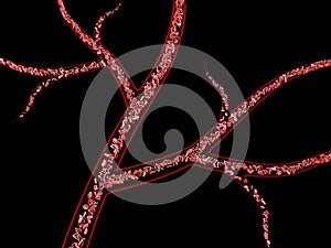 3d Illustration of red blood cells in vein on black background