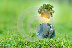 3D illustration Renewable energy concept Earth Day or environmental protection Protect the forests that grow on the ground and hel